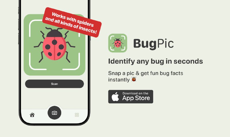5. BugPic标语：只需拍张照片，几秒钟内就能识别任何昆虫