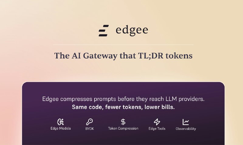 6. Edgee标语：能实现信息“长话短说”的人工智能网关注：“TL;DR”是“Too Long; Didn't Read”的缩写，常用来表示对冗长内容进行简短概括，这里意译为“长话短说” 