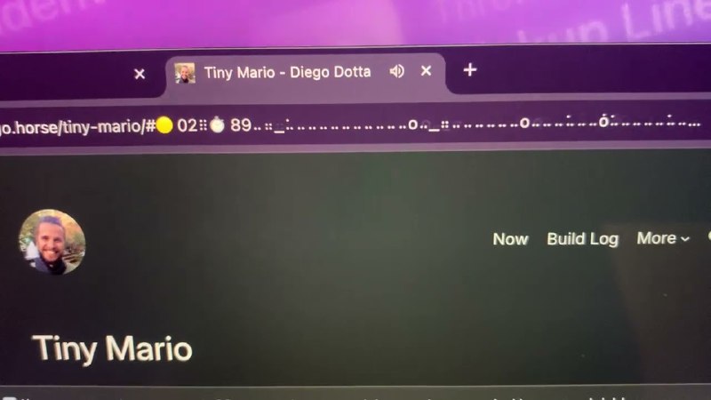 9. Tiny Mario标语：直接在你的网址栏里玩超迷你版的马里奥游戏