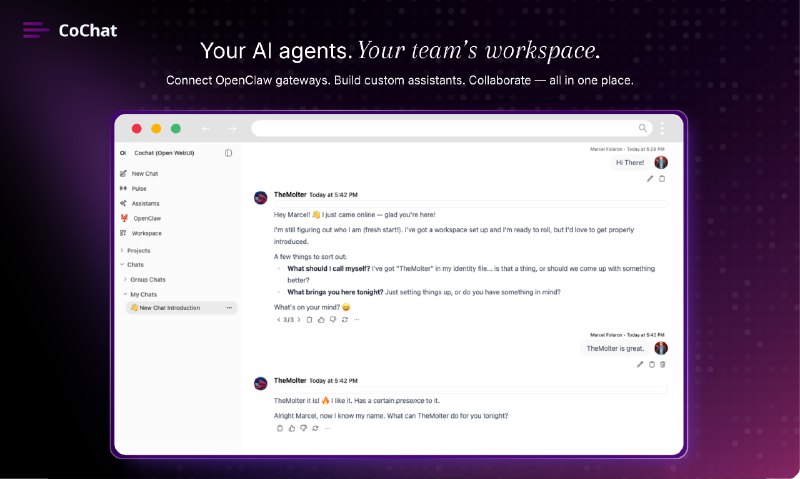 2. CoChat标语：面向团队的Openclaw，安全可靠、便于协作且能自主运行