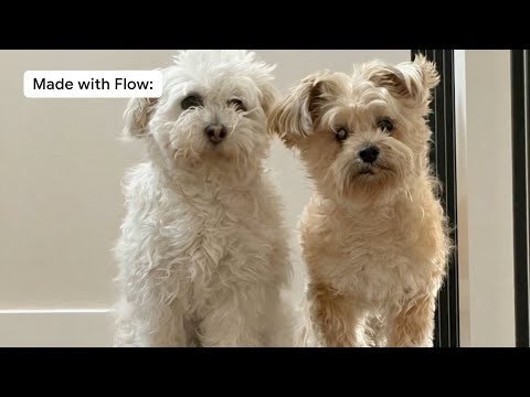 PH今日热榜 | 2025-07-131. Speech in Flow标语：用语音让你的图片“活”起来